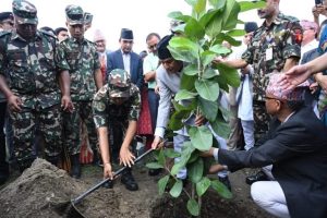 Protezione forestale dal basso in Nepal: successo dove il rimboschimento non riesce.
