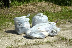Veneto: nel 2025 raccolti 95.000 kg di rifiuti plastici, verso un futuro sostenibile.