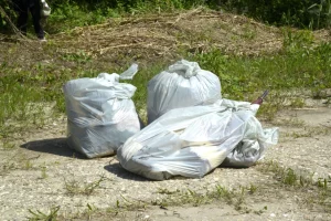 Veneto: nel 2025 raccolti 95.000 kg di rifiuti plastici, verso un futuro sostenibile.
