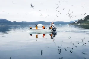 La Corsa alla Minerazione in Groenlandia Meridionale QAQORTOQ, Groenlandia – La Groenlandia...