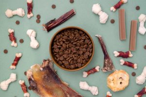 Richiamo snack Happy Dog per cani: rischio di contaminazione microbica. Sicurezza prima di tutto!