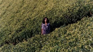 Viaggiare in Africa: Un’esperienza Unica Negli ultimi dieci anni, viaggiare attraverso l’Africa è...