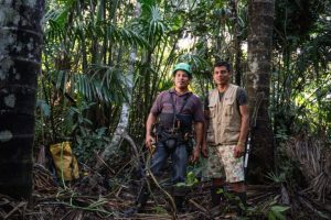 Gli Ecosistemi Tropicali e il Loro Potenziale di Stoccaggio del Carbonio Le foreste tropicali sono...