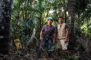 Gli Ecosistemi Tropicali e il Loro Potenziale di Stoccaggio del Carbonio Le foreste tropicali sono...