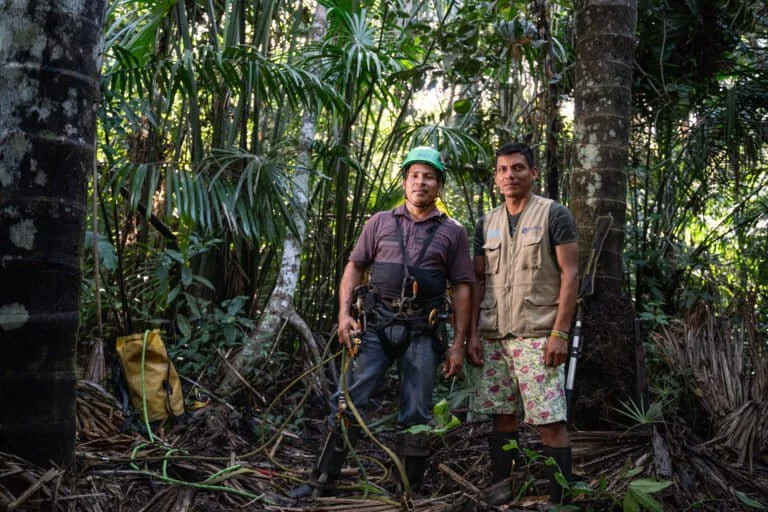 Gli Ecosistemi Tropicali e il Loro Potenziale di Stoccaggio del Carbonio Le foreste tropicali sono...