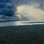 America Latina 2025: Promesse di conservazione sfidano crimine e estrazione delle risorse.