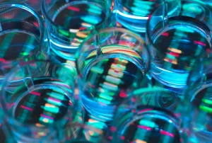 Chai Discovery: Nuove Finanziamenti per la Startup Biotech Chai Discovery, una startup biotech...