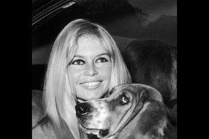 Brigitte Bardot: da icona di fama a paladina della causa animalista per tutta la vita.