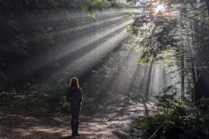 15 forze che plasmeranno il futuro della conservazione nei prossimi 10 anni