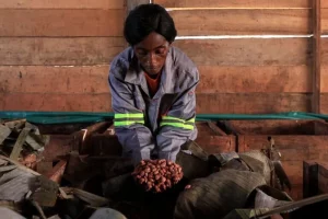 Nuove sfide per le aziende che importano prodotti nell'UE Alla luce delle recenti normative europee...