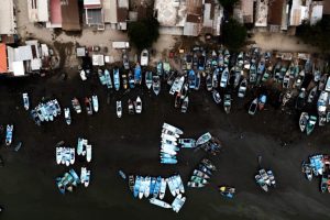 Il Narcotraffico e il Traffico di Pinne di Pesce: La Realtà in Ecuador I gruppi di narcotraffico che...