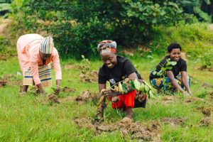 Il 20° Anniversario del Premio Nobel a Wangari Maathai: Un Messaggio di Speranza per l'Africa Dopo...