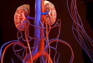 Sopravvivenza media senza dialisi in insufficienza renale cronica avanzata (stadio V)