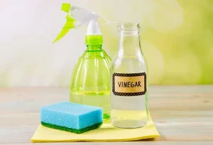 Vinegar’s Effectiveness as a Natural Bug and Insect Repellent Explored