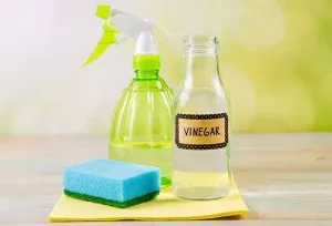 Vinegar’s Effectiveness as a Natural Bug and Insect Repellent Explored