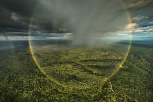 2025: Un anno cruciale per il giornalismo di Mongabay e la conservazione ambientale.