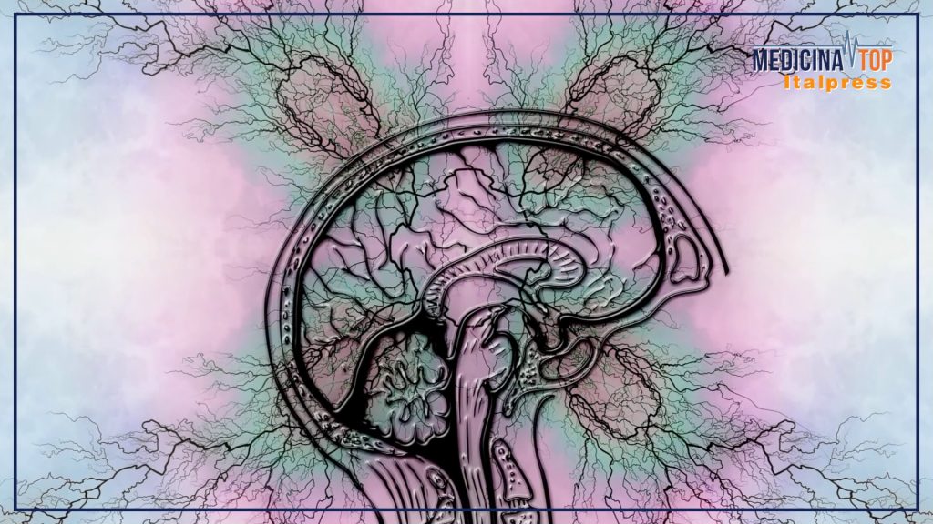 Cosa è l'Epilessia: Definizione e Crisi Epilettiche MILANO (ITALPRESS) – L’epilessia è una...