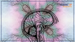 Cosa è l'Epilessia: Definizione e Crisi Epilettiche MILANO (ITALPRESS) – L’epilessia è una...