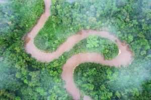 L'abbandono silenzioso dei progetti di conservazione Un tema spesso trascurato dai conservazionisti...