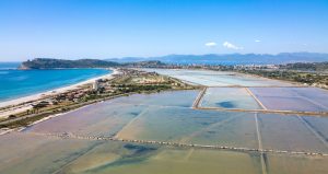 Approvato il Piano del Parco Naturale Regionale Molentargius Saline CAGLIARI (ITALPRESS) – Un passo...