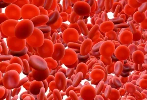 La policitemia può derivare dalla policitemia vera, una forma di tumore del sangue causata dalla...