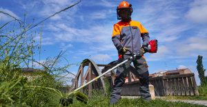 La cura del giardino sta subendo una trasformazione grazie all’innovazione tecnologica. Robot...