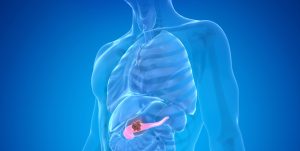 Il Tumore al Pancreas: Un Killer Silenzioso Il tumore al pancreas si sta rivelando una delle...