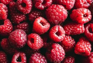 7 sorprendenti benefici nutrizionali delle lamponi per salute e benessere quotidiano