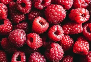 7 sorprendenti benefici nutrizionali delle lamponi per salute e benessere quotidiano