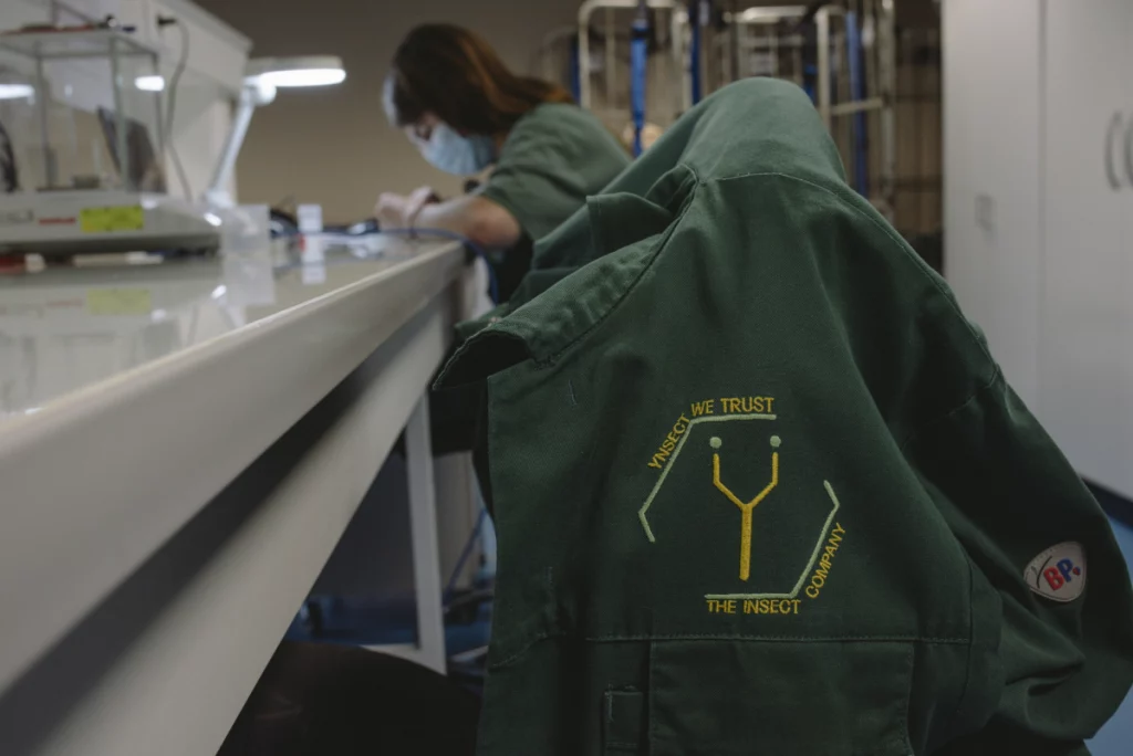 La realtà abbatte Ÿnsect, la startup francese con oltre 600 milioni per l’allevamento di insetti.