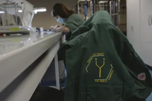 La realtà abbatte Ÿnsect, la startup francese con oltre 600 milioni per l’allevamento di insetti.