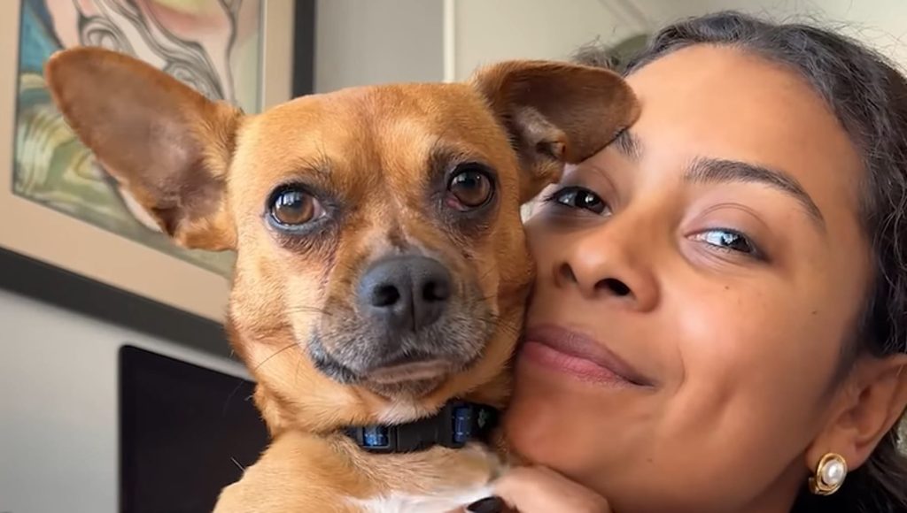 Nacho, il cane timido che sa rispondere solo a una determinata lingua