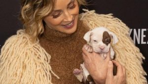 Sharon Stone e l’incontro che trasforma la vita: adotta il cucciolo Mo sul red carpet.