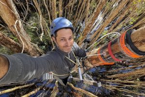 Eroi nascosti: i microrganismi della corteccia degli alberi australiani riducono gas tossici e serra.