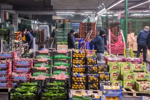 Indagine Antitrust sulla Gdo: controllo della filiera agroalimentare per garantire la competitività.