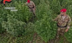 Blitz antidroga in Sardegna: eseguite 21 misure cautelari contro il traffico di sostanze.