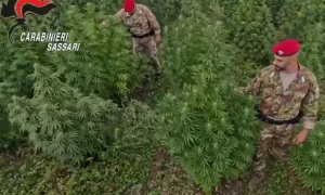 Blitz antidroga in Sardegna: eseguite 21 misure cautelari contro il traffico di sostanze.