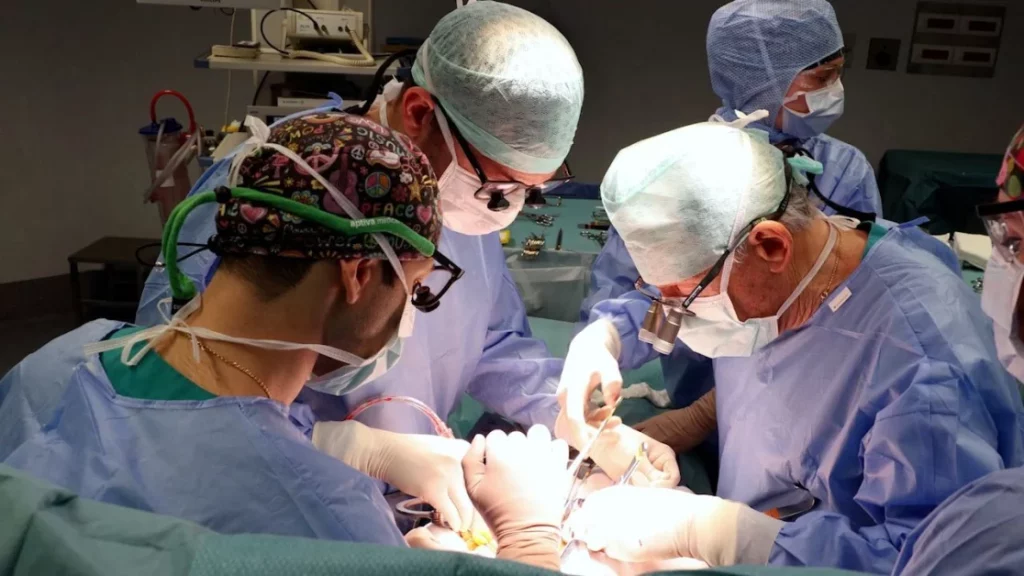 San Raffaele Milano: pionieri della chirurgia vascolare mininvasiva per soluzioni innovative e sicure.