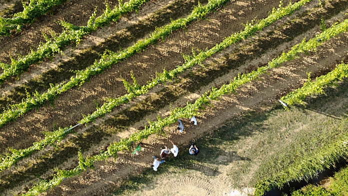 Biodiversità in crisi nel Regno Unito: l’Intelligence avverte dei rischi per la sicurezza nazionale.