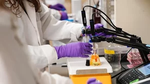 Francia: da domani vietati i PFAS, ecco le novità importanti per i cittadini.