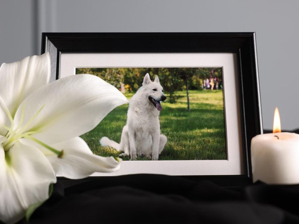 La morte di un animale domestico è dolorosa come quella di un familiare, secondo la scienza.