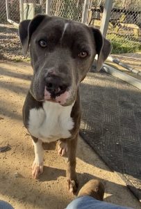 Incontra la dolce e affettuosa Ms. Ida-Mae: un’amica speciale pronta a colmare il tuo cuore!