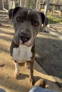 Incontra la dolce e affettuosa Ms. Ida-Mae: un’amica speciale pronta a colmare il tuo cuore!