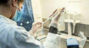 Turicibacter: il batterio intestinale che supporta la salute digestiva e immunitaria.