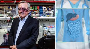 Scoperta di Barbacid: una nuova speranza contro il cancro al pancreas.