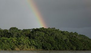 Colombia pronta a ridurre ulteriormente la deforestazione nel 2025, secondo i dati.