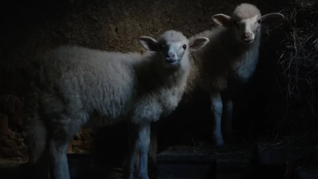 Agnus Dei di Massimiliano Camaiti vola al FIPADOC 2026