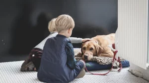 Un cane accanto: la pet therapy che aiuta i bambini a superare la paura