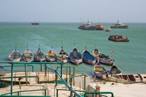 Mauritania: governo inasprisce regole e ferma l’eccesso di produzione di farina di pesce.