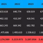 Nel 2024 la spesa per pensioni di invalidità raggiunge 34 miliardi di euro